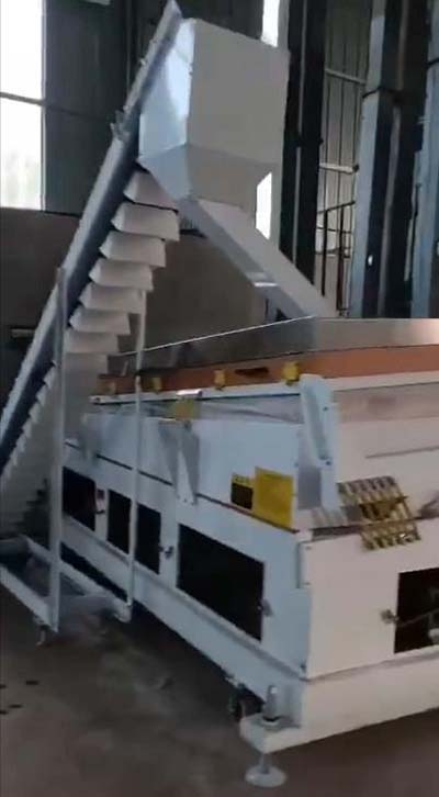 Broadbean cleaning line